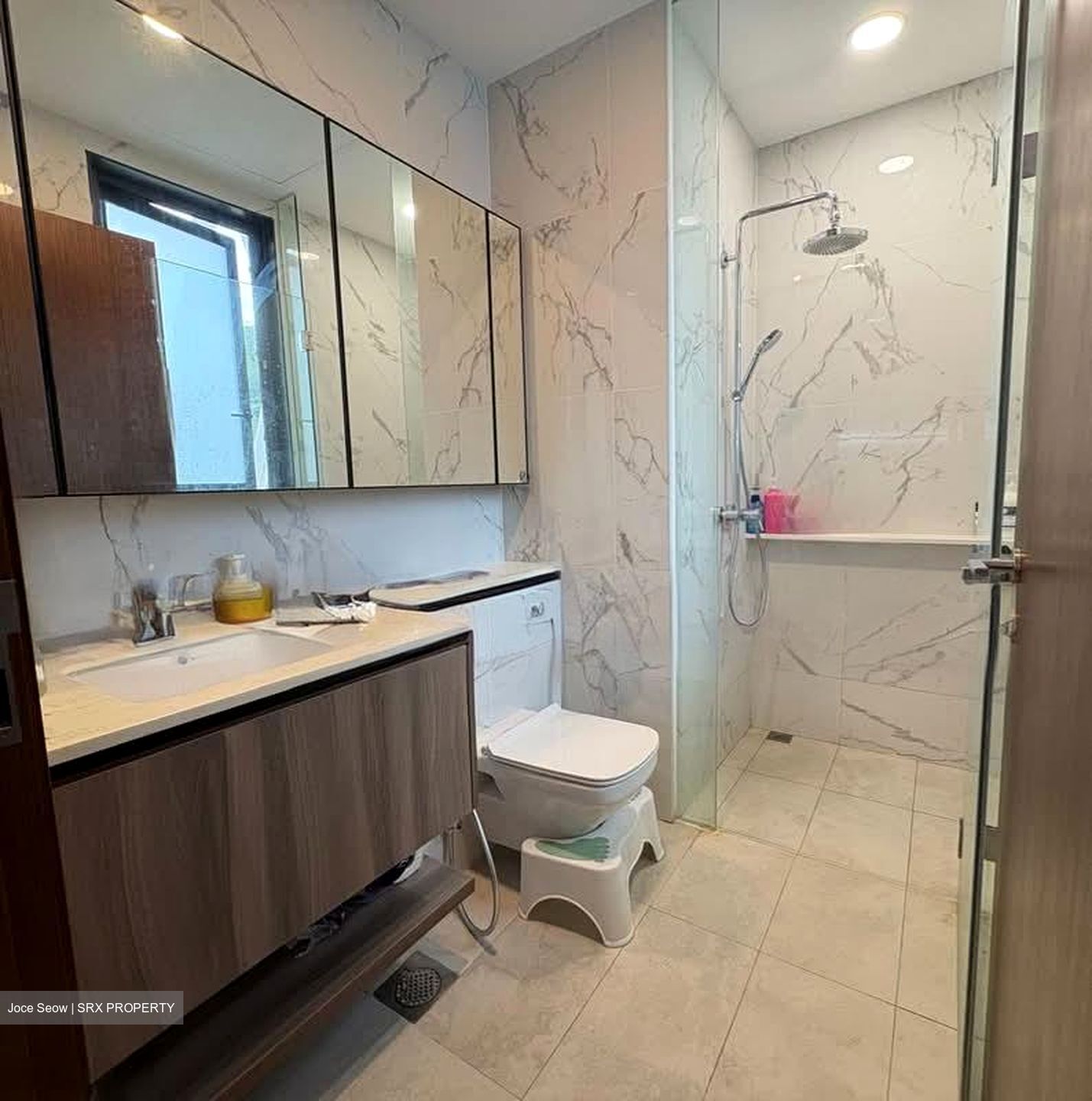 Lattice One (D20), Apartment #569331221
